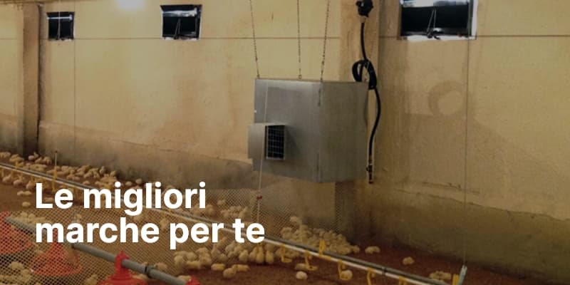 Le migliori marche per te